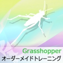 Grasshopperオーダーメイドトレーニング