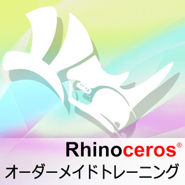 Rhinocerosオーダーメイドトレーニング